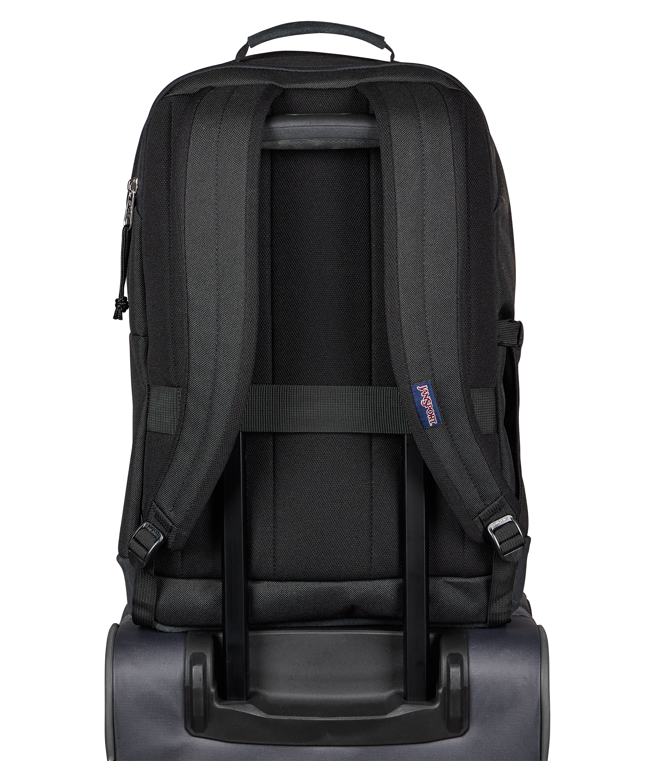 JS0A897Z008-BACK
