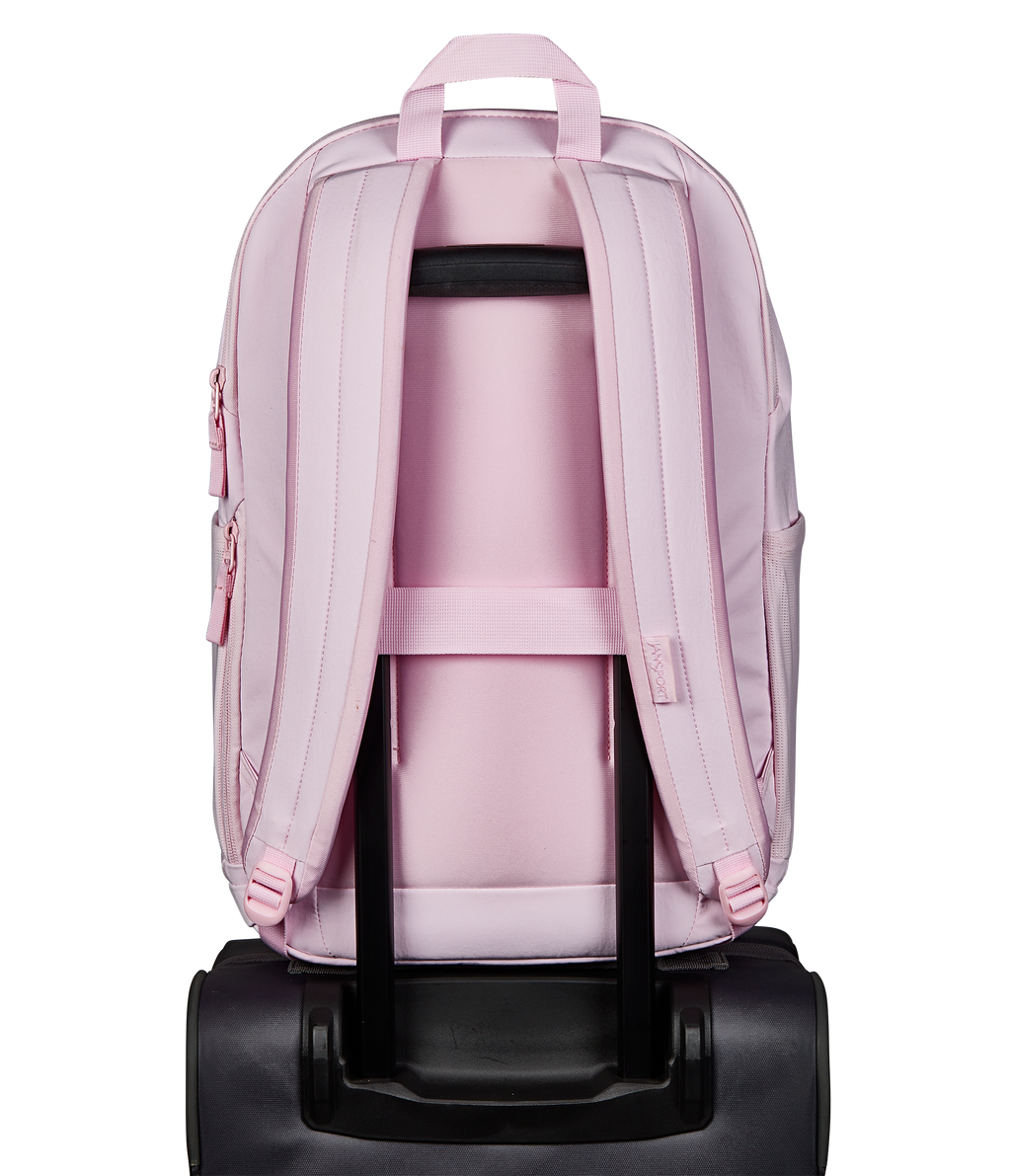 JS0A8982A4Y-BACK