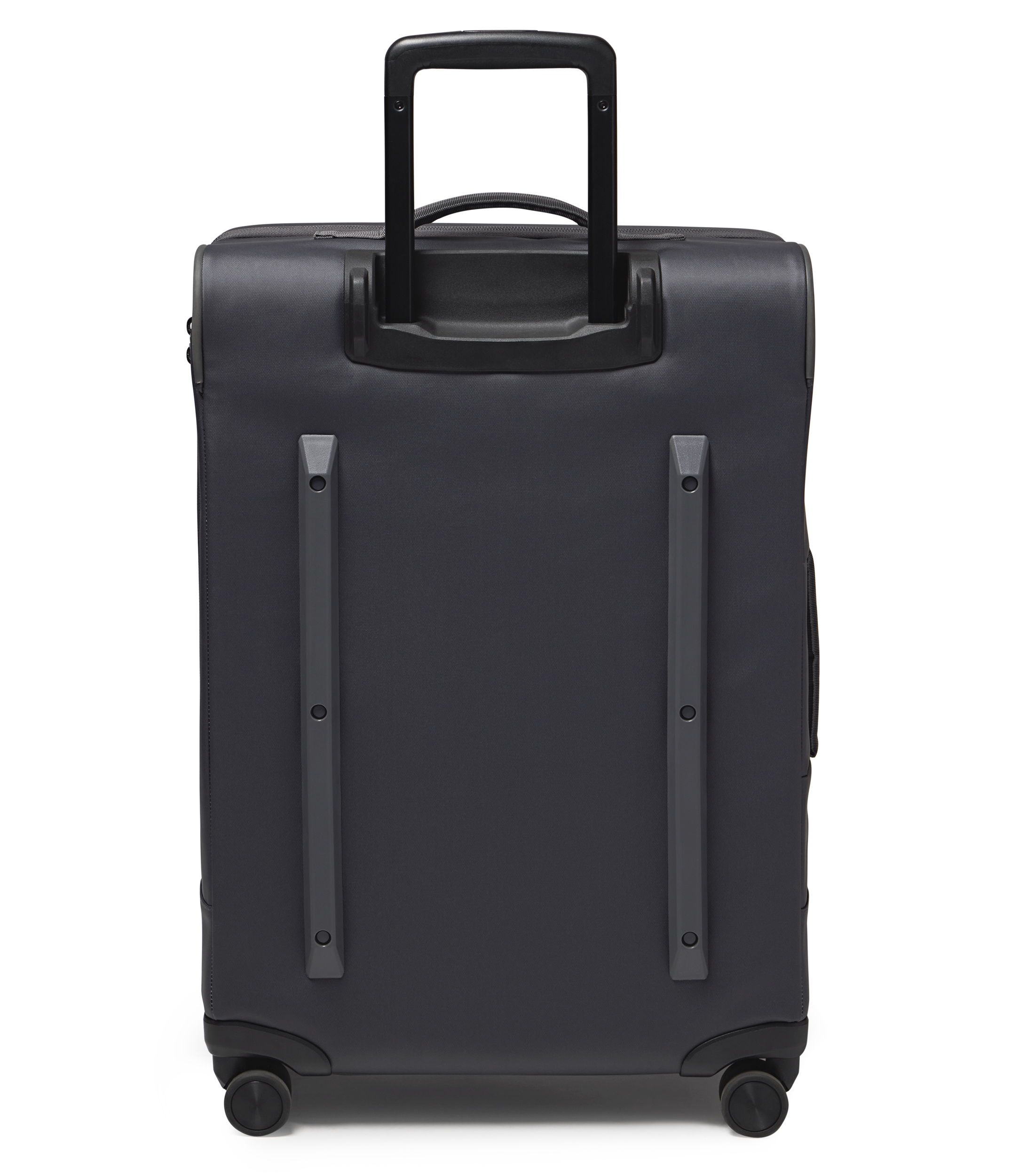 JS0A8E8CDMX-BACK