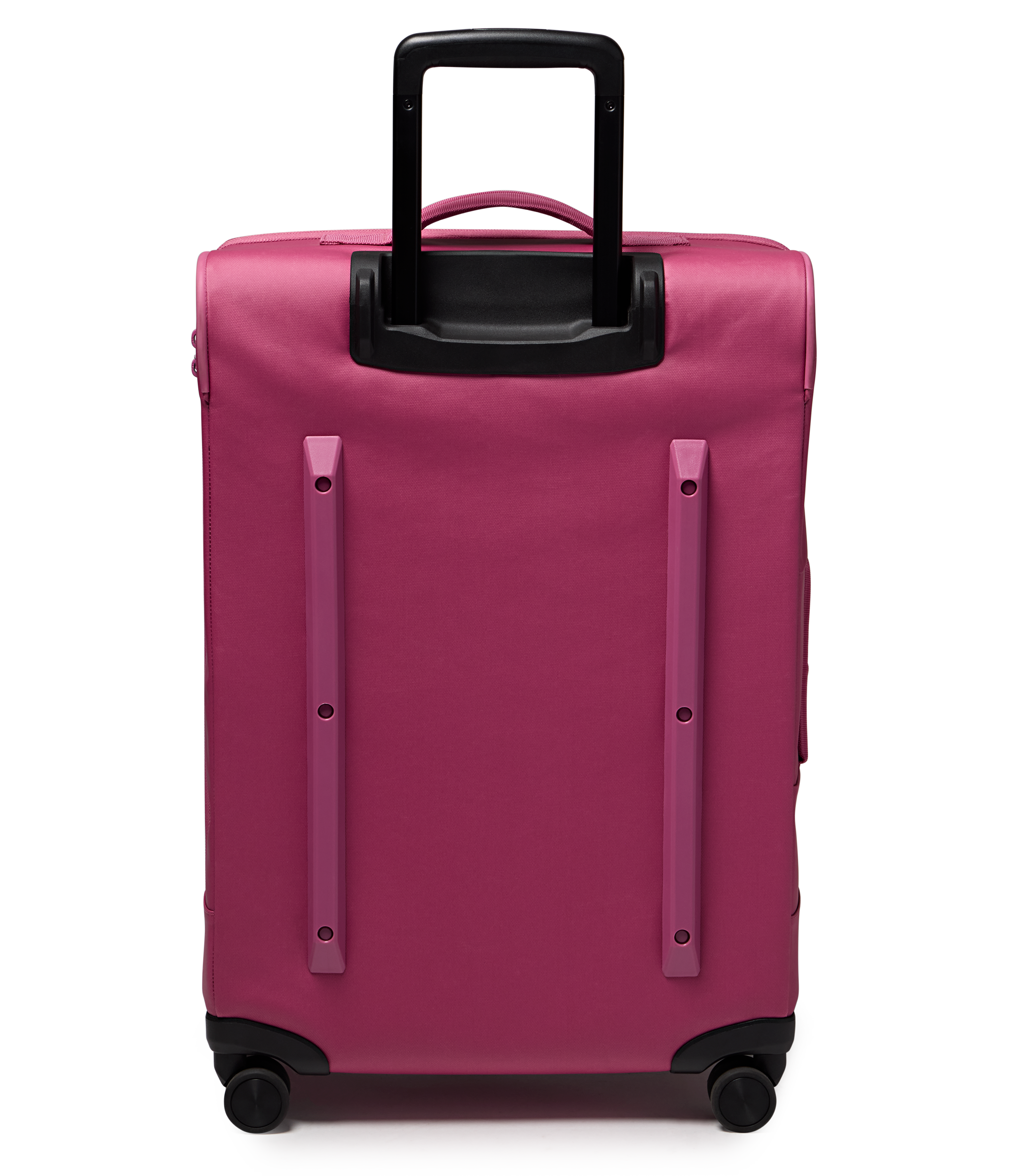 JS0A8E8CEW6-BACK