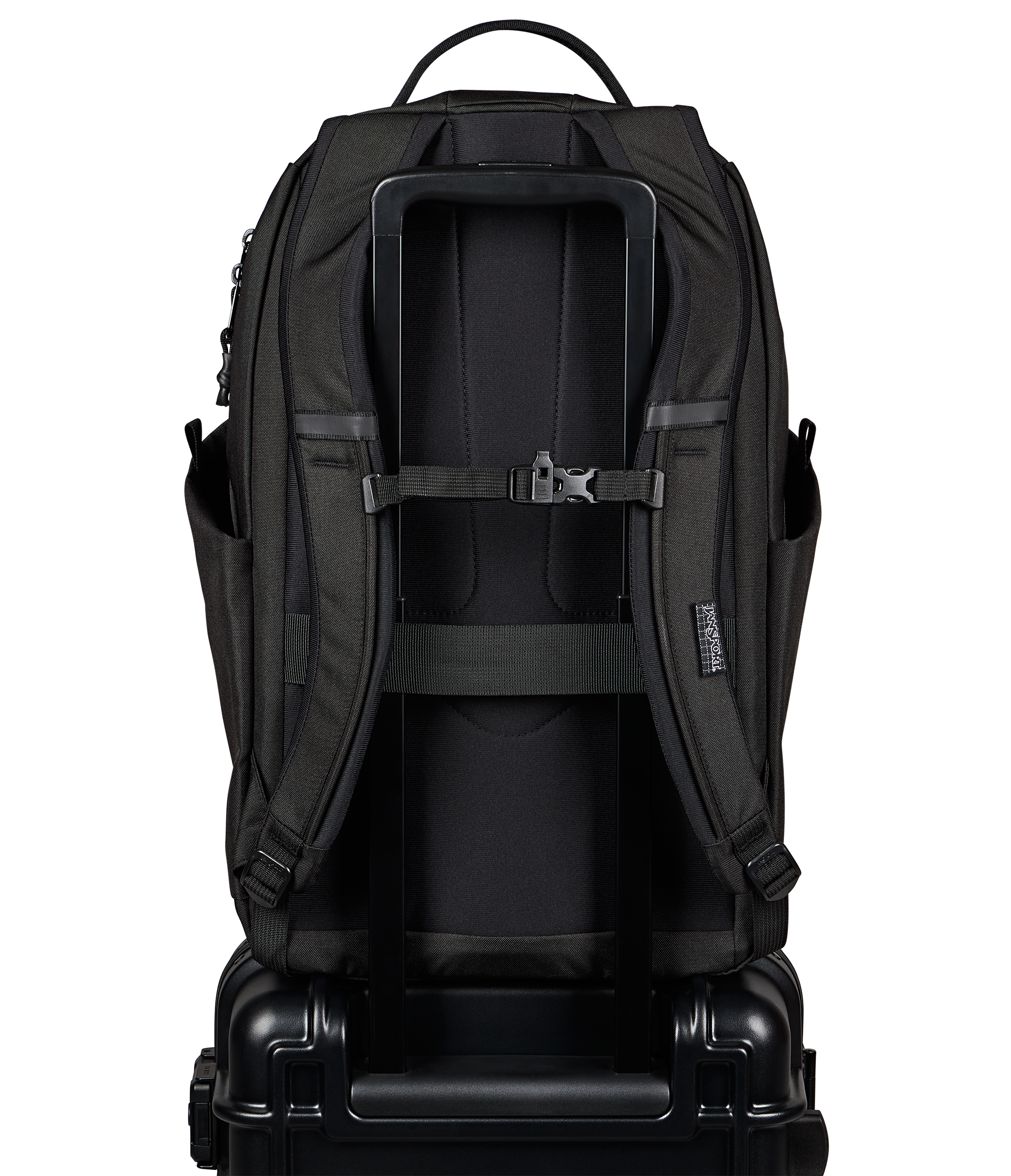 JS0A8E8F008-BACK