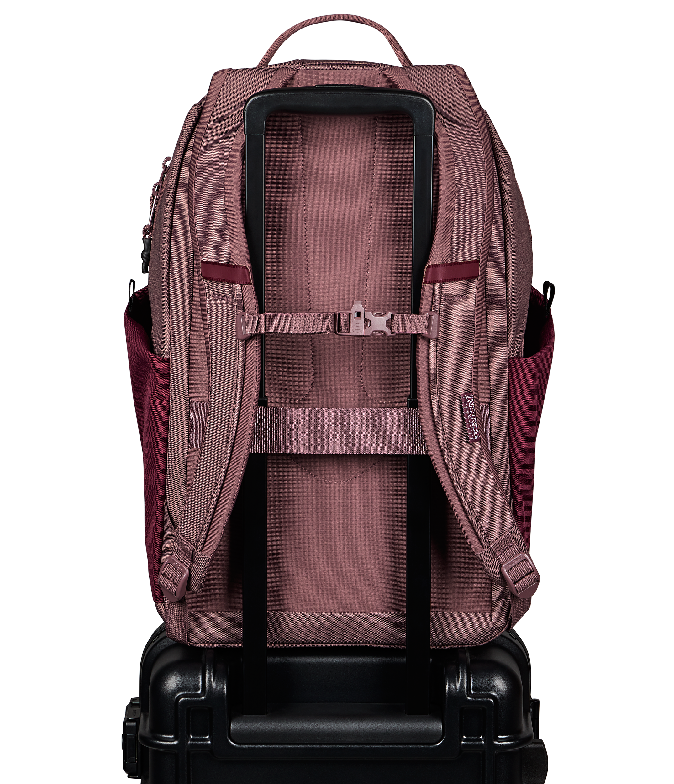 JS0A8E8FA0A-BACK