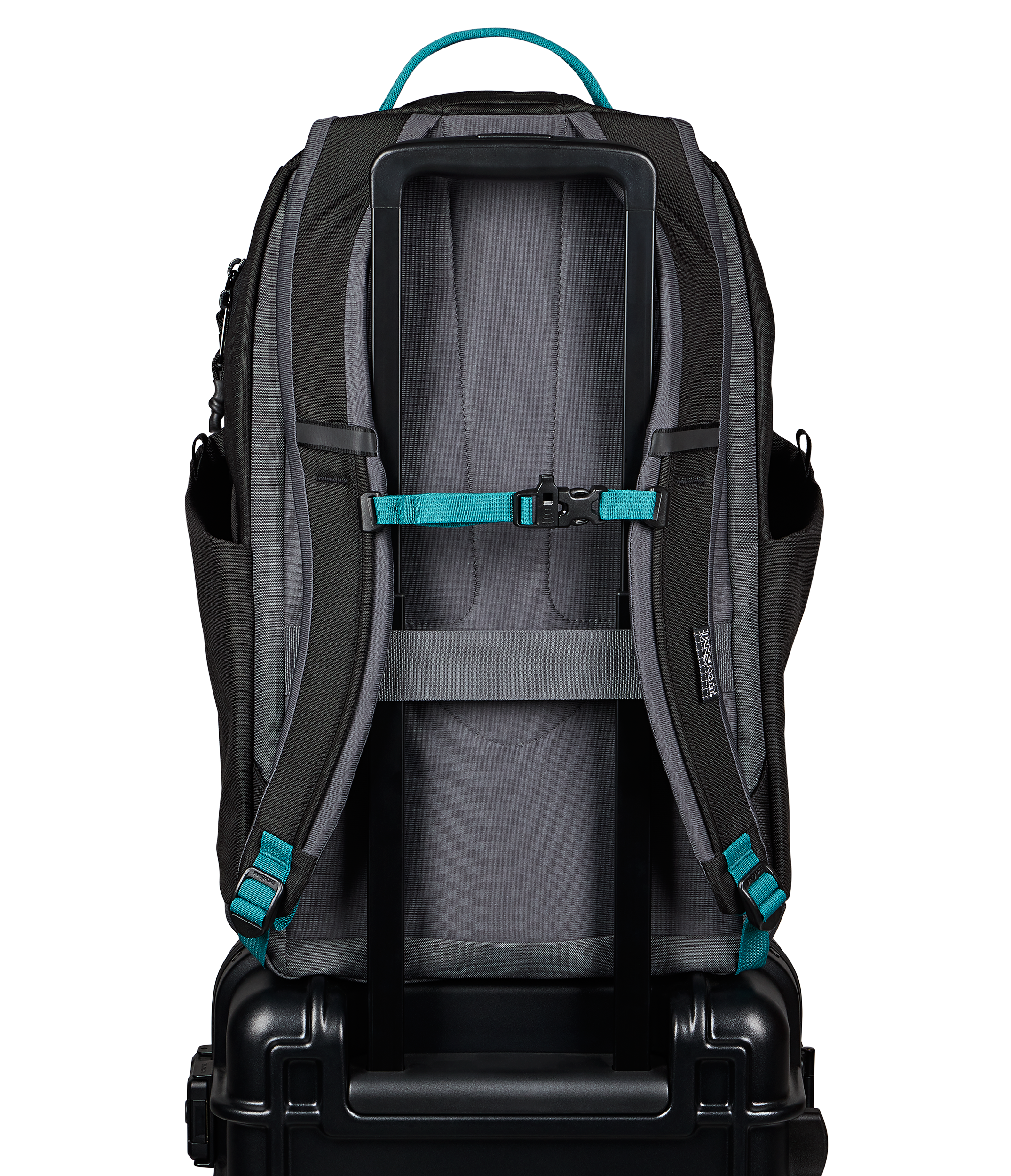 JS0A8E8FDMX-BACK
